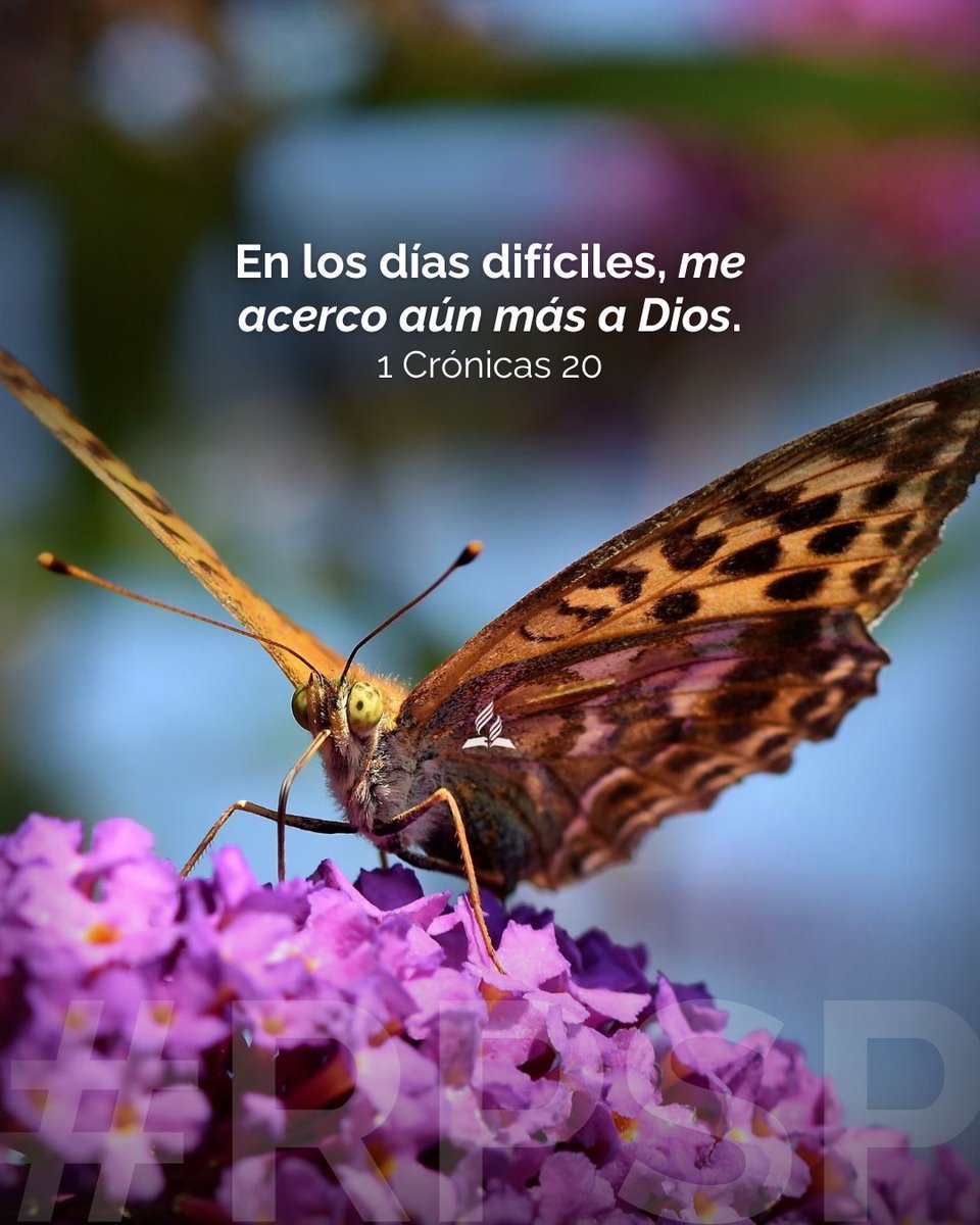 En los días difíciles, mi respuesta es acercarme aún más a Dios.
👉 Busca a Dios en medio del desafío.
🤗🙏🏼 #rpsp #PrimeroDios #1Crónicas20

📖 🎧  Escucha este RPSP: adv.st/reavivadospors…