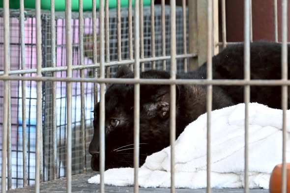 เว่ออออ ครับผม (‵▽′)ψ tweet media