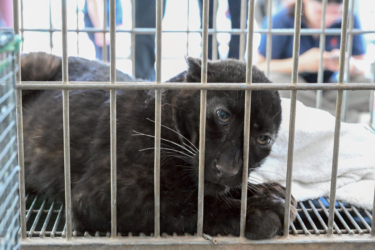 เว่ออออ ครับผม (‵▽′)ψ tweet media