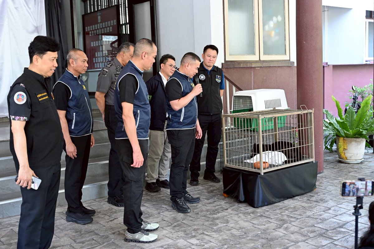 เว่ออออ ครับผม (‵▽′)ψ tweet media