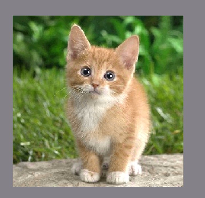 Sergey004 tweet media