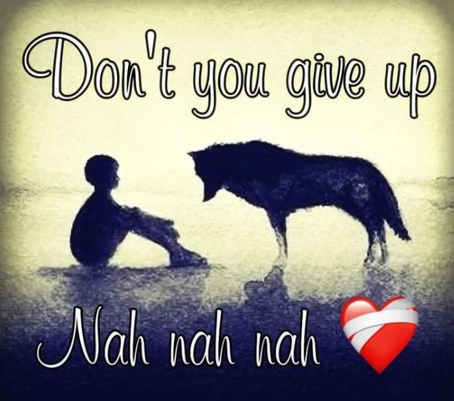 inboooou tweet media