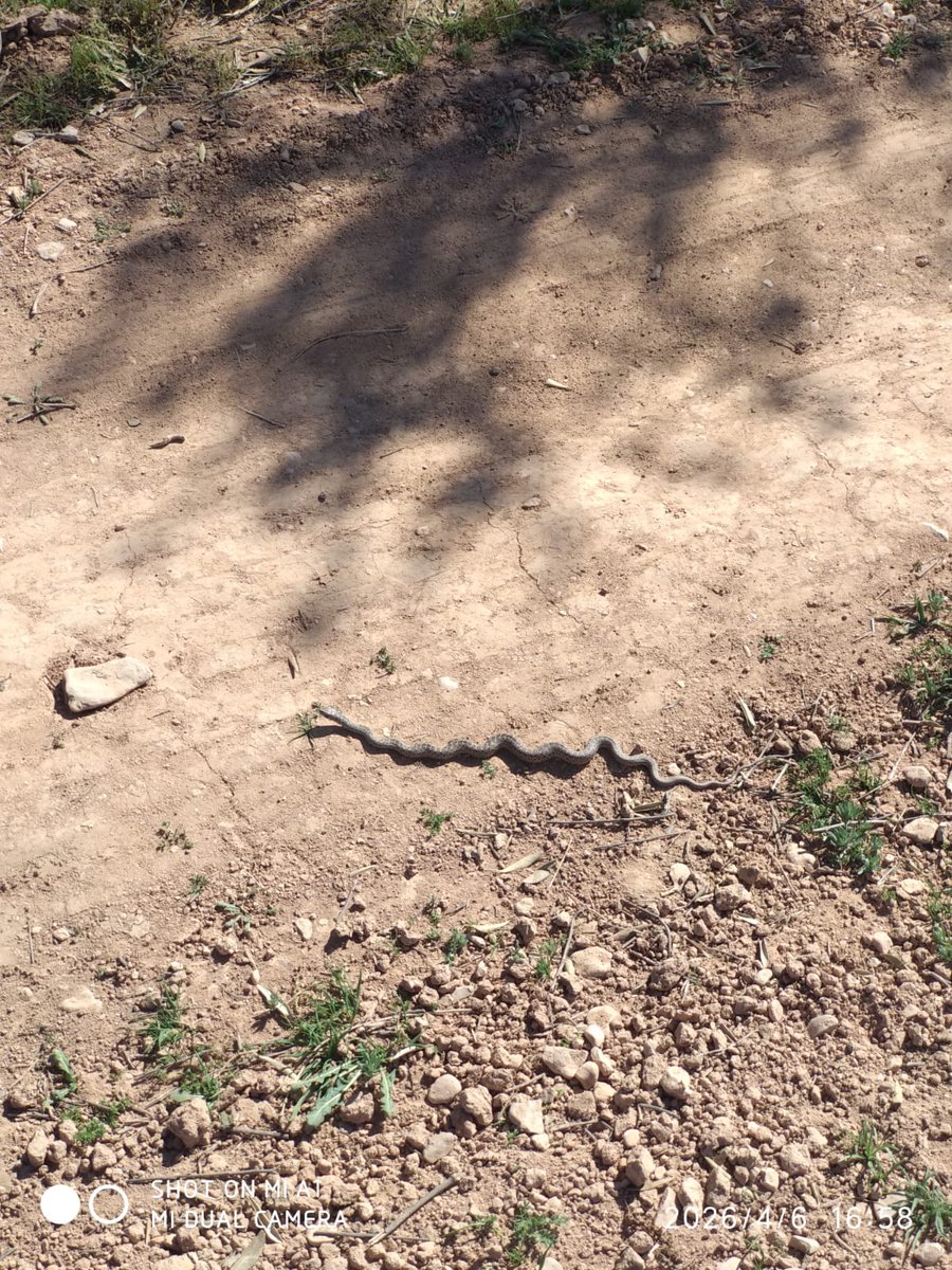 Valttyys tweet media