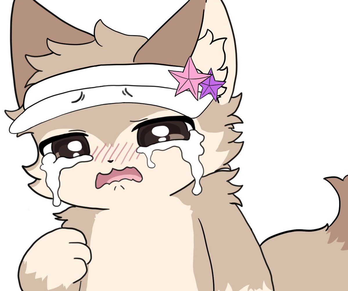 그로드 tweet media