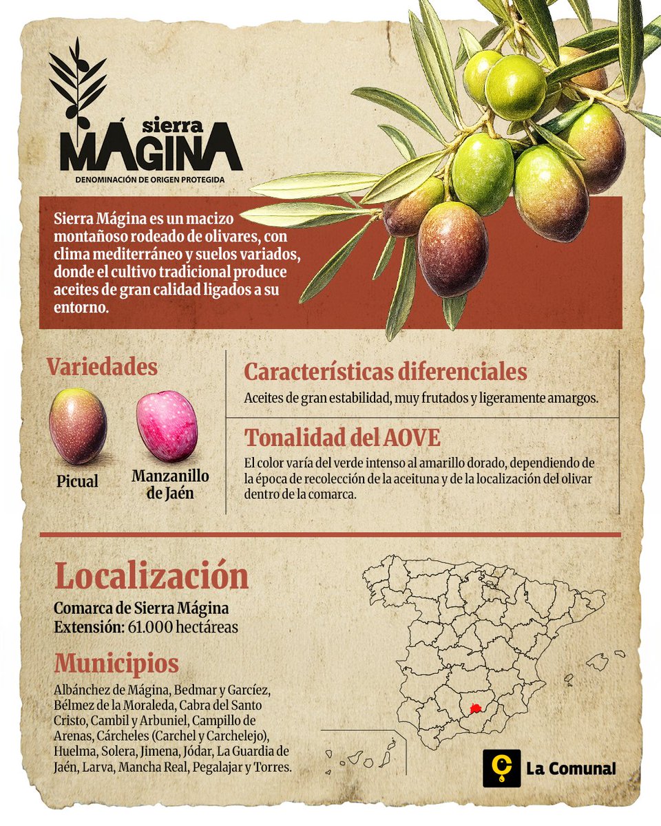 LaComunal_AOVE's tweet photo. Para entender el prestigio global de nuestro sector oleícola es esencial poner en valor el trabajo que realizan cada campaña las diferentes denominaciones de origen protegidas de nuestro país.

Por eso, conoce con nosotros los elementos más relevantes de la @DOSierraMagina 🫒 https://t.co/uOyXbJ4Wfq