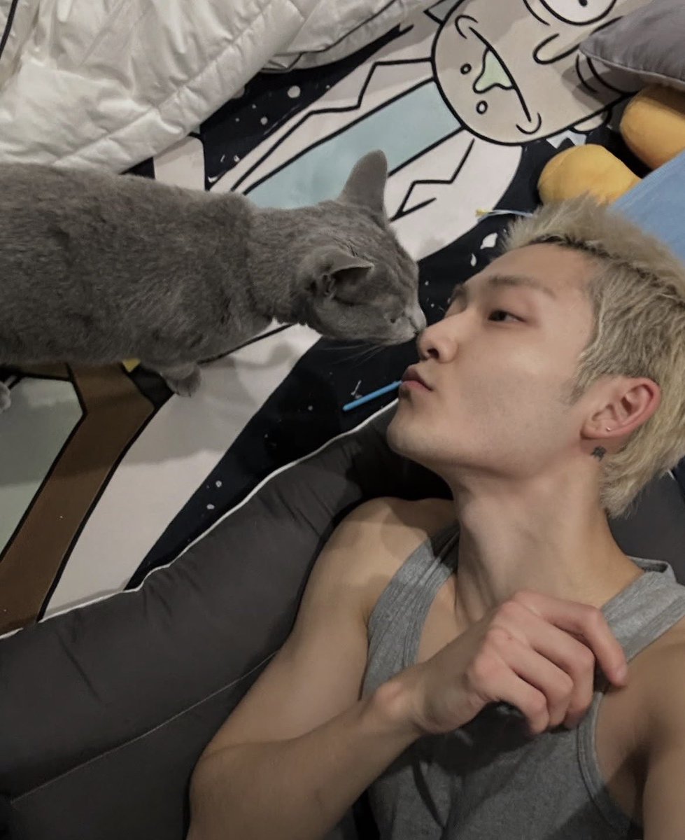 iS2enboyz's tweet photo. kevin got a cat ?! OMG SO CUTE https://t.co/Snrd1I1O00