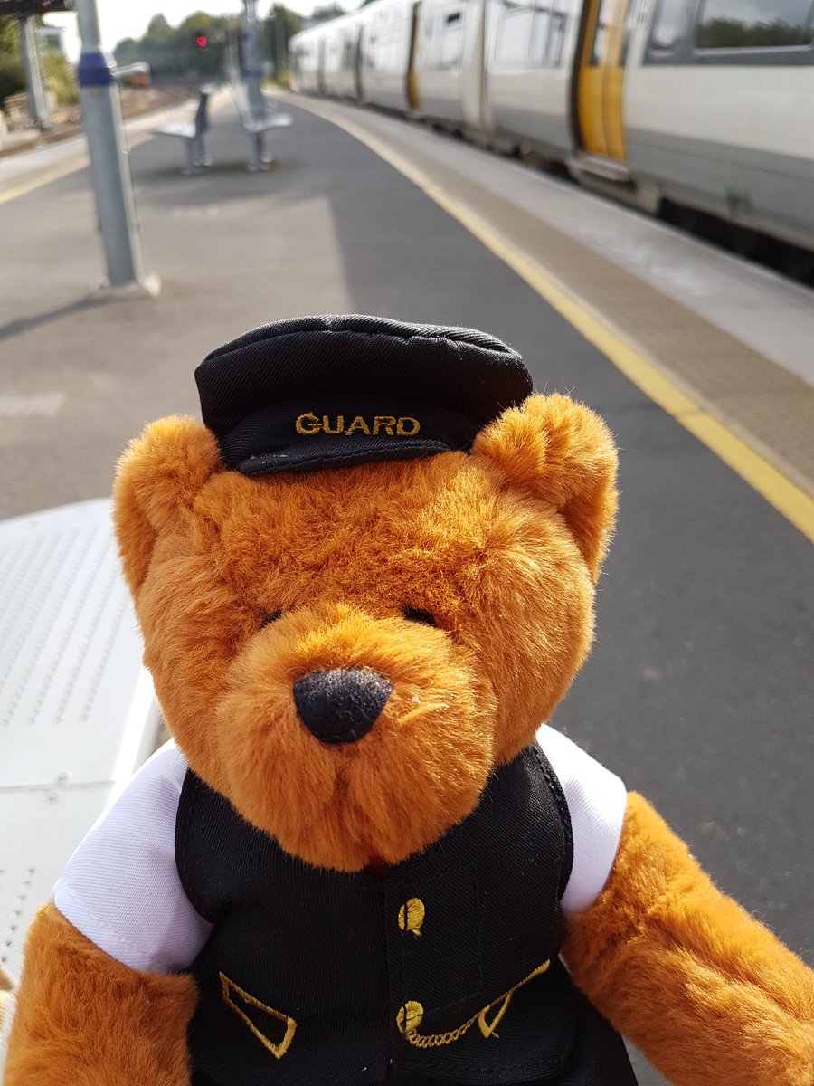 Emergency Teds© 🇺🇦 tweet media