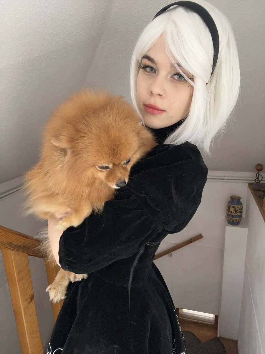DoryyExpx33's tweet image. My little suneshine 
#doggo #NierAutomataCosplay #moothunt