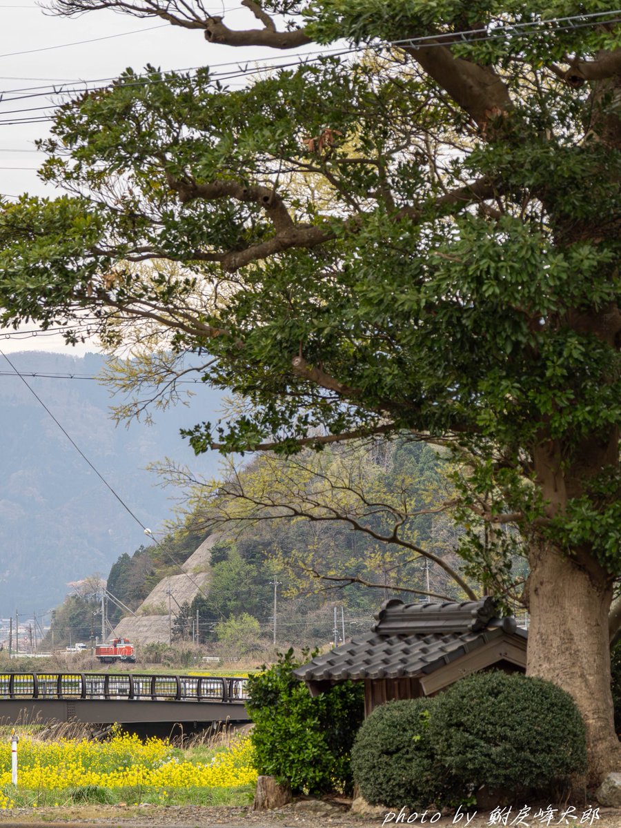 鮒戻峰太郎 tweet media