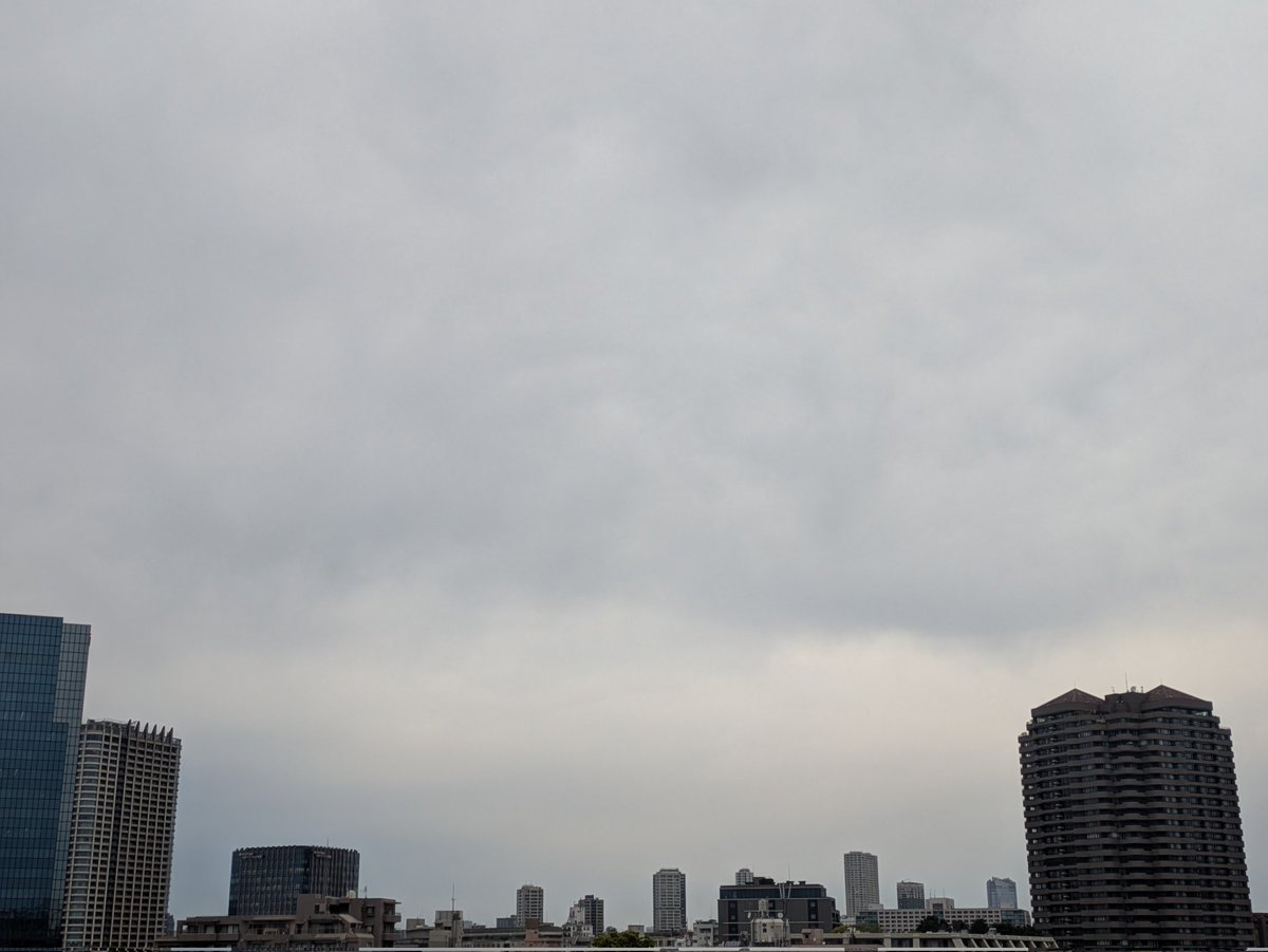 瑞雲ziun ELD55 tweet media