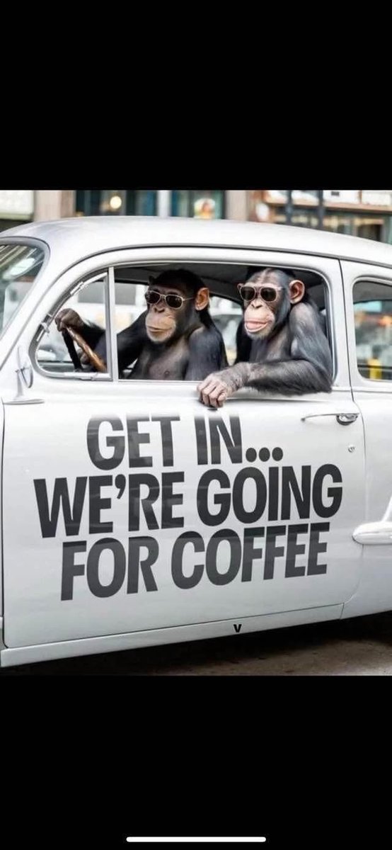 BIGDADDY tweet media