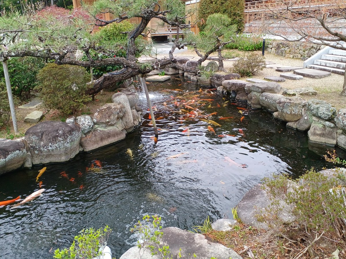 バニバニ tweet media