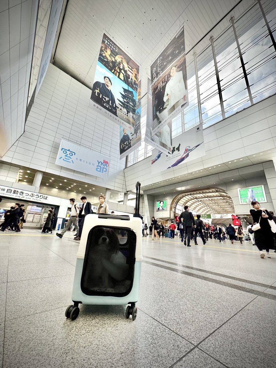 ふれいあの中身(*´ч`*) tweet media