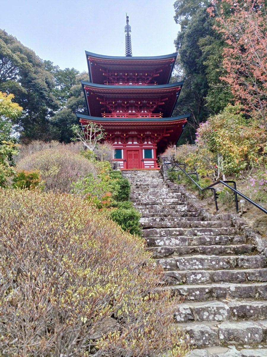 バニバニ tweet media