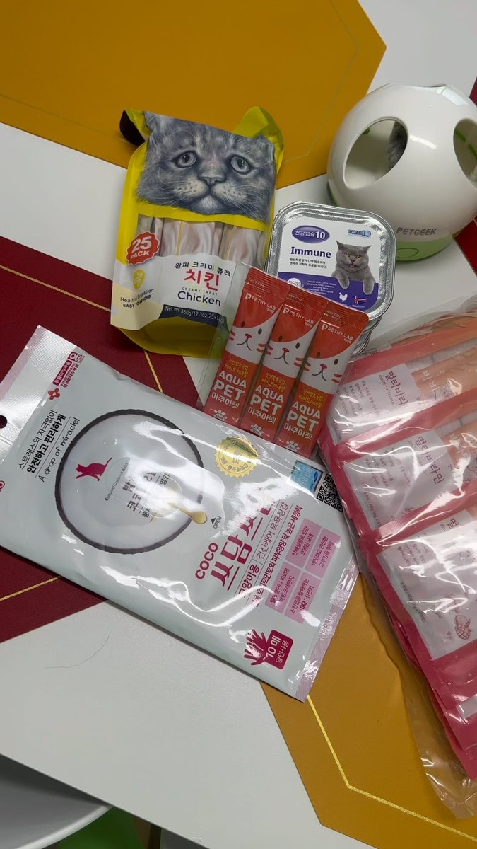 ryokobayasxnwh's tweet image. 우리돼지 긔여웡^^

#cat #catstagram 
#siamesecat #scottishfold 
#catsofinstagram 
#cats_of_instagram 
#샴 #스코티쉬폴드 
#고양이 #캣스타그램 
#고양이별 #무지개다리 
#집사일기
#지구별고양이…