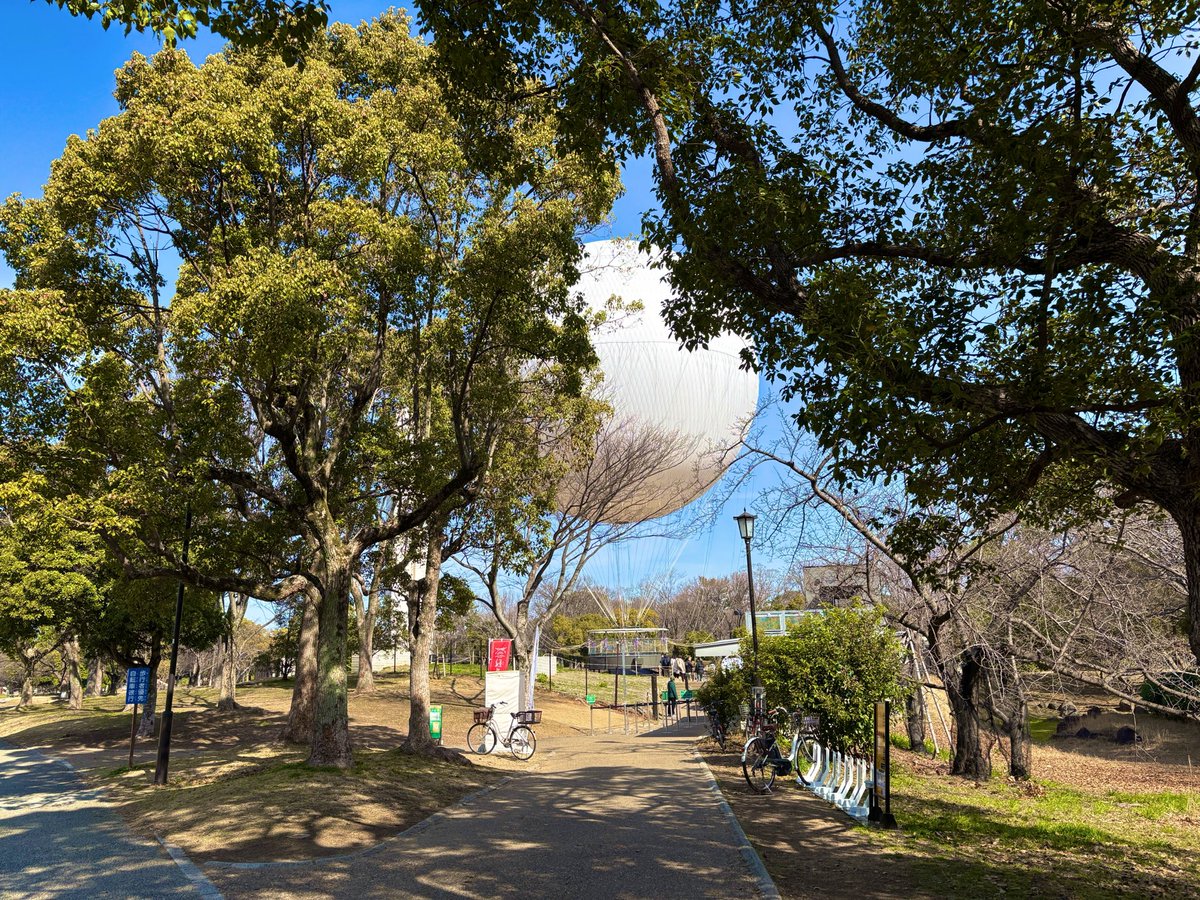 まりこふん(marikofun) tweet media