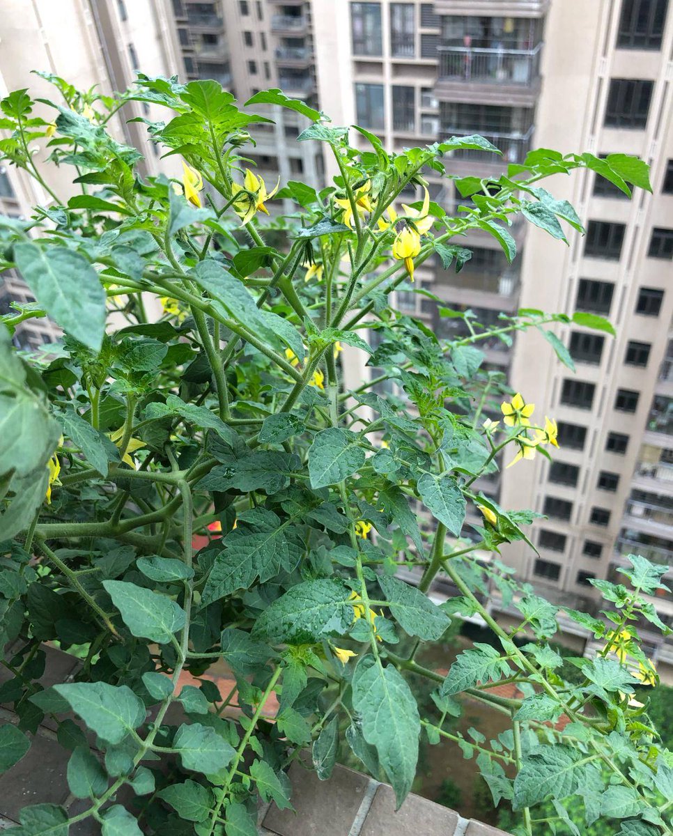 louise hunter tweet media