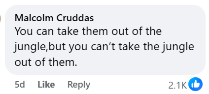 Ian Hamilton tweet media