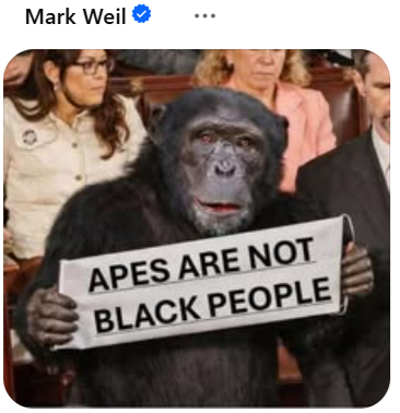 Ian Hamilton tweet media