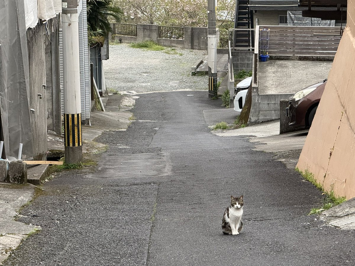 たくろ®︎ tweet media