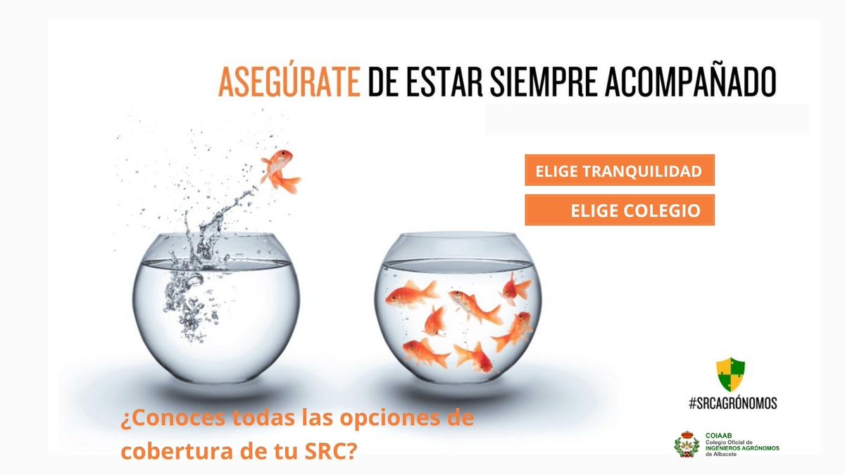 𝗖.𝗢. 𝗜𝗻𝗴. 𝗔𝗴𝗿ó𝗻𝗼𝗺𝗼𝘀 𝗔𝗹𝗯𝗮𝗰𝗲𝘁𝗲 tweet media