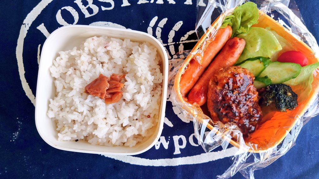 伊織お散歩ちゃんねる tweet media