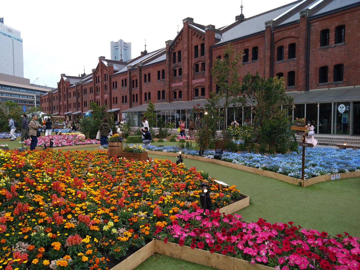 らこ ꕤ𝕋𝕂ꕤ tweet media