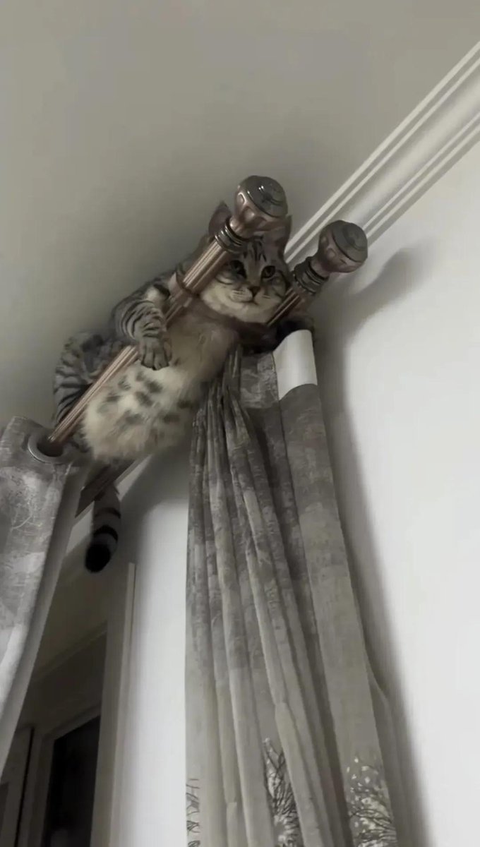 Sara Mary ⭐❤️ tweet media