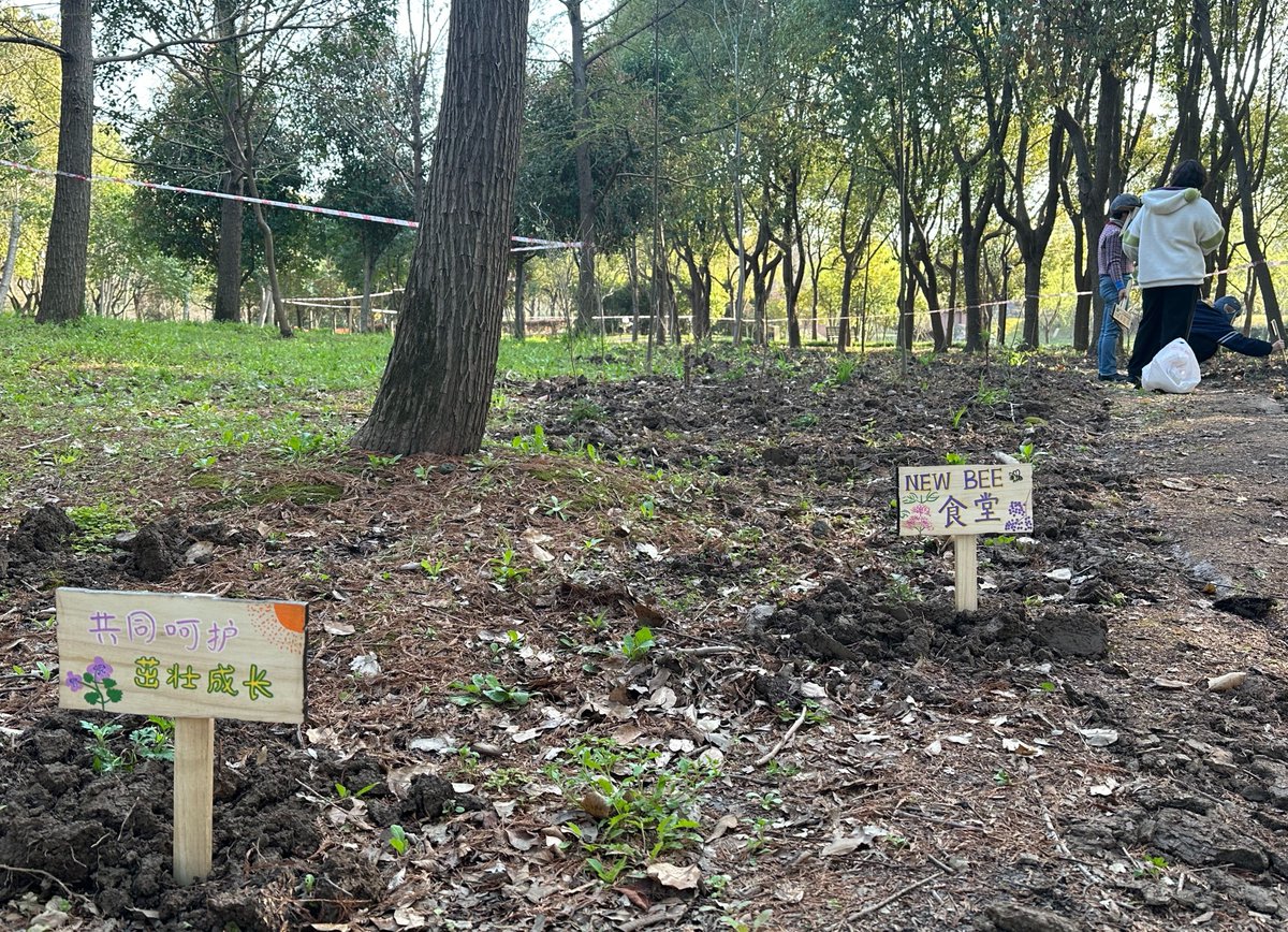 ShanCenter's tweet photo. Is an understory space dull and lacking in biodiversity? We've once again planted native species to restore it!
To help visitors better understand theseplants, our lovely volunteers have even crafted educational signs for them. https://t.co/XU4ypSI0i8