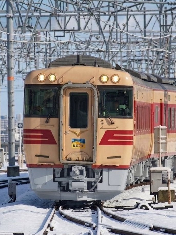 鶏つくね tweet media