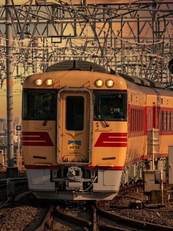 鶏つくね tweet media