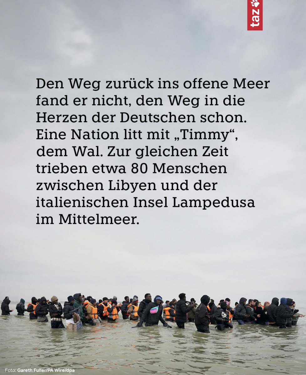 Anabel Schunke tweet media