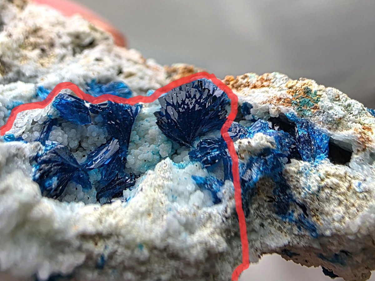 クロネコ tweet media