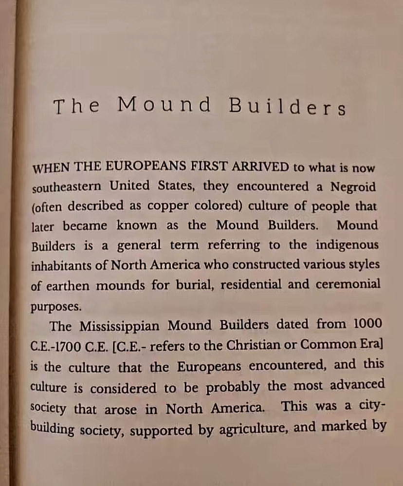 Primordial Indigene tweet media