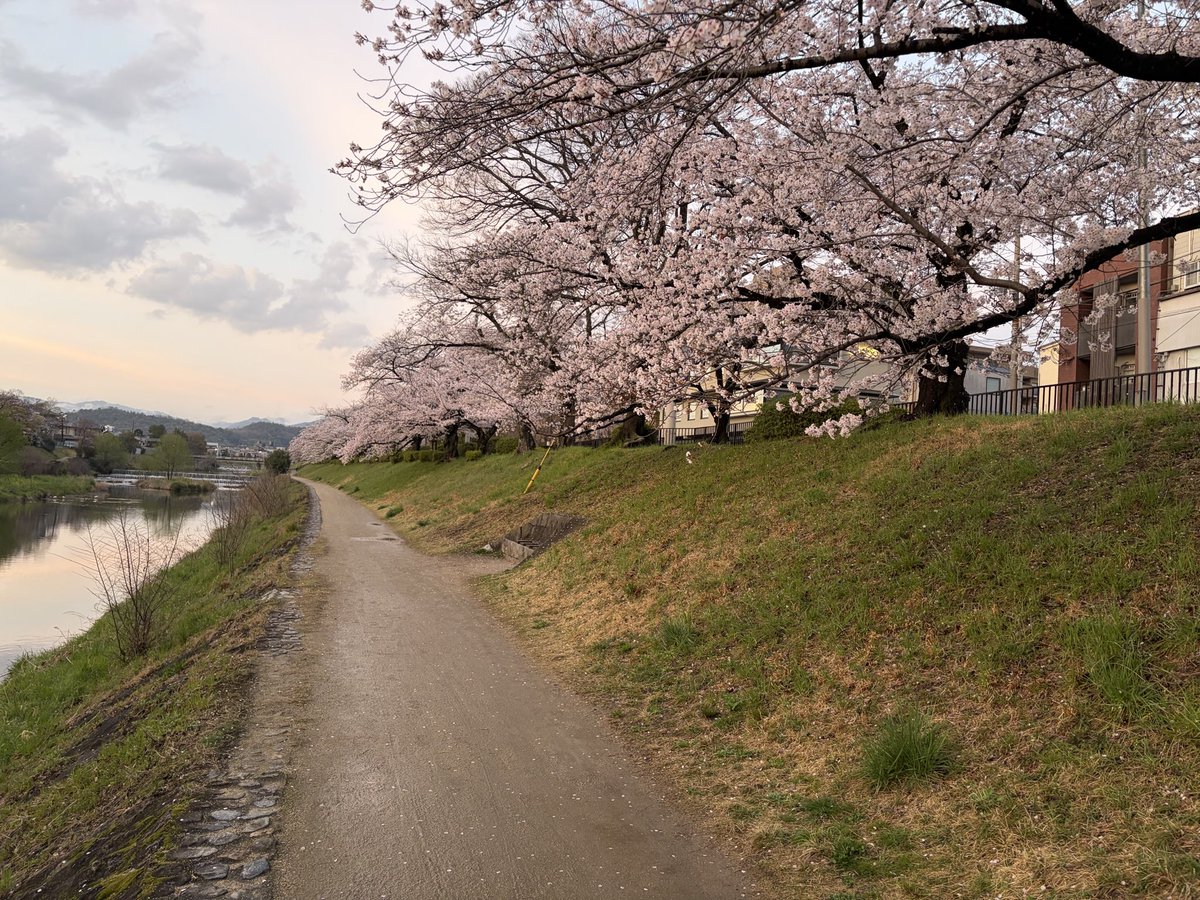 MitsuhiroTamoto, RN, PhD tweet media