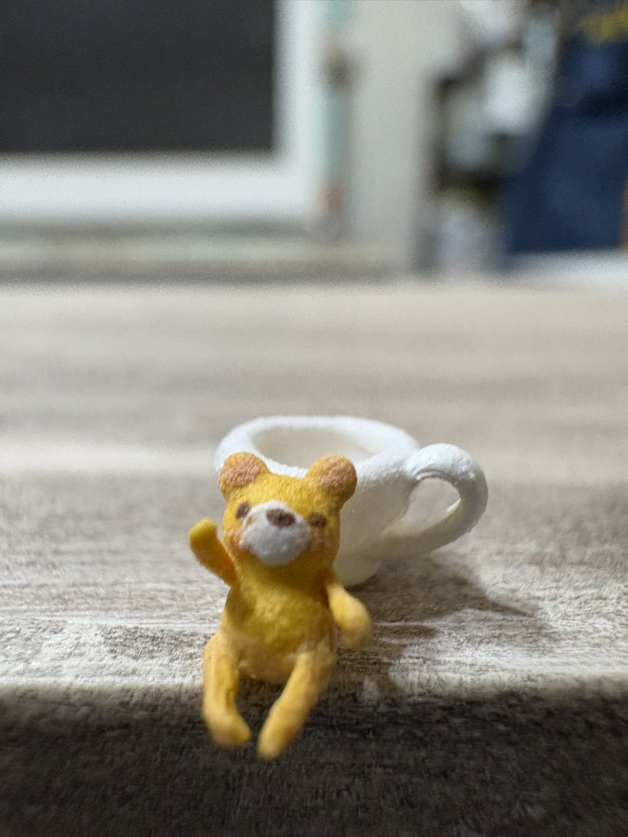 Riecoco｜ナノチュア作家 tweet media