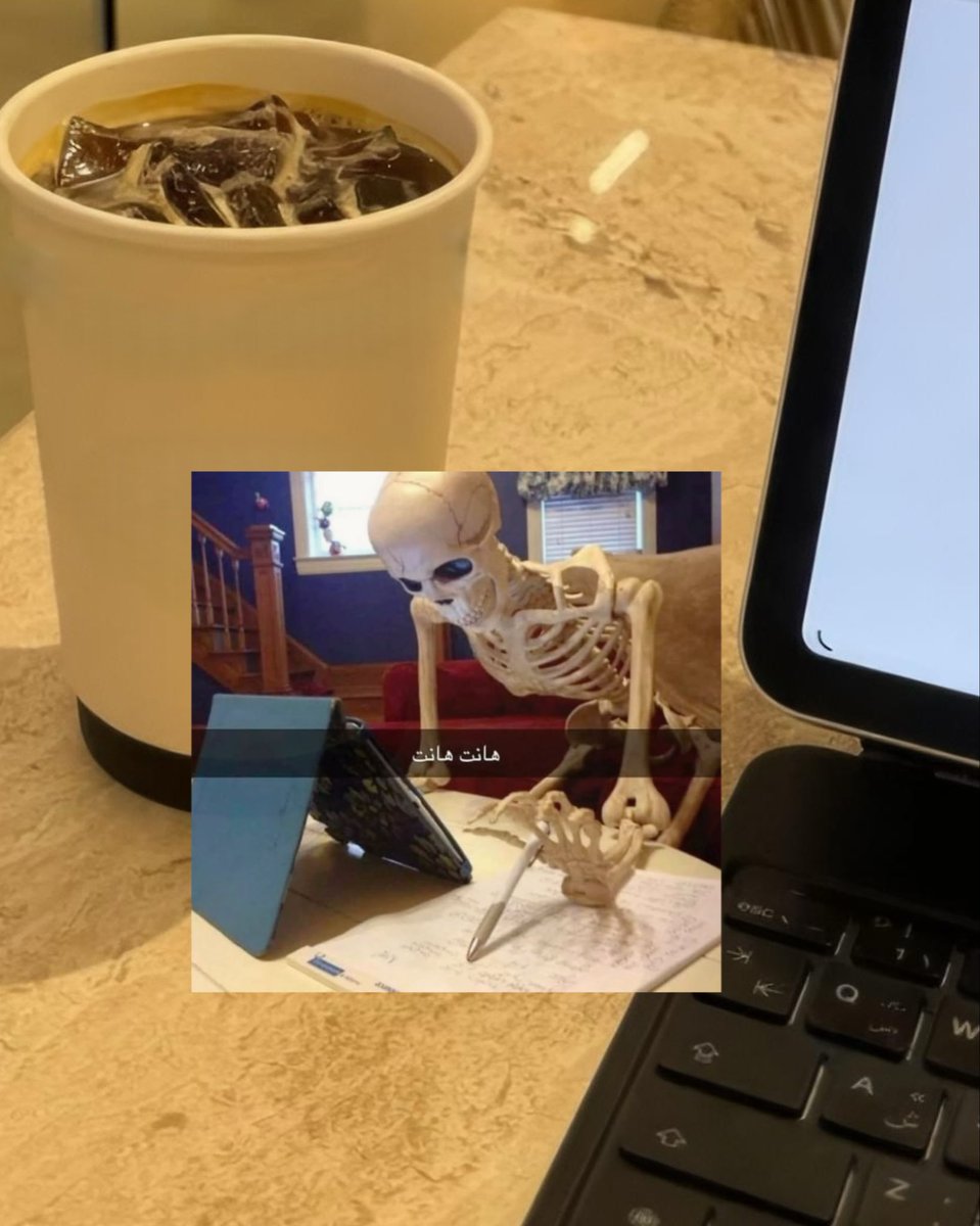 فاطمة الشريف🪸 tweet media