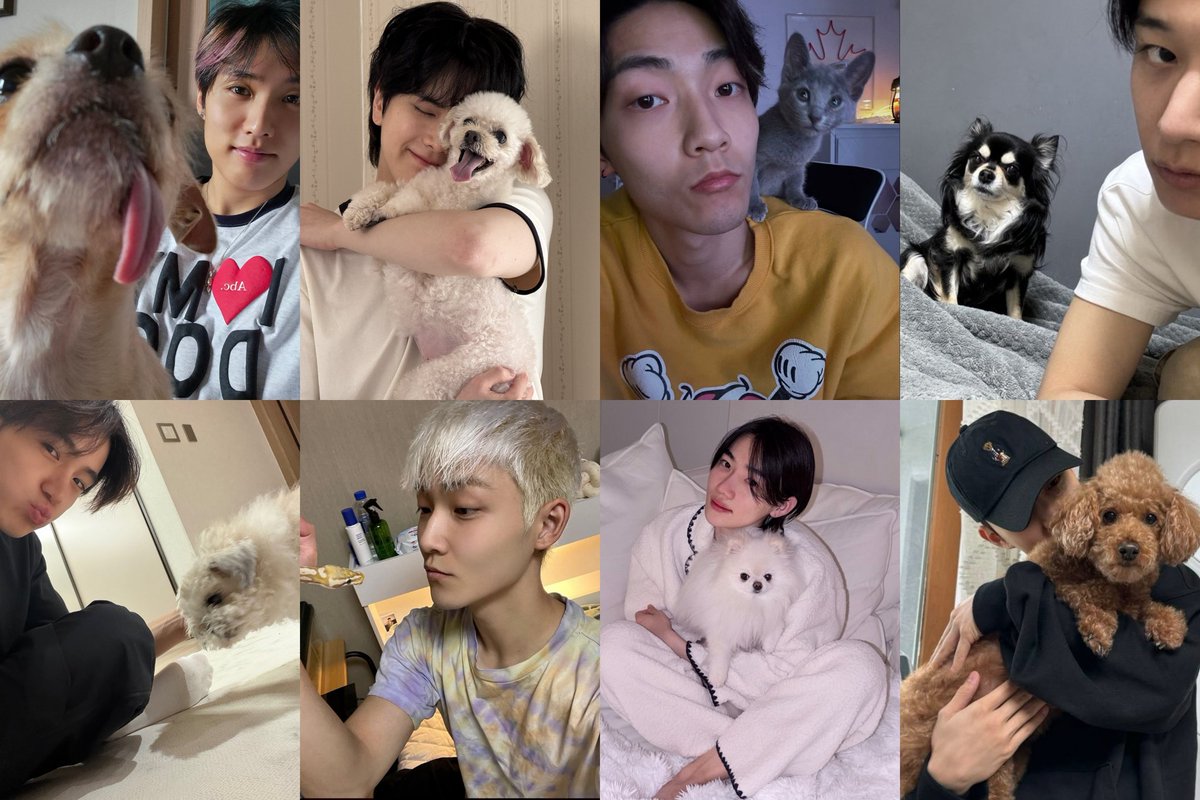 kirrawk's tweet photo. Kevin has a cat and welcome Remy to the petz fam 🥺 The Boyz’s pets really are just like their owners https://t.co/lr9P39B10Y