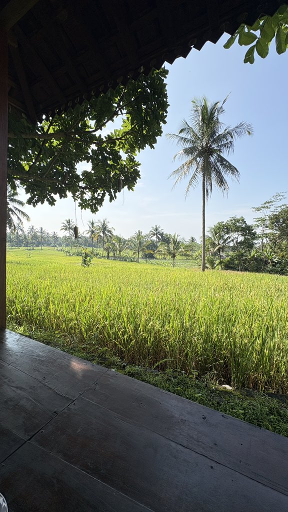 𝓡𝓮𝓽𝓪𝓪 🌺 tweet media