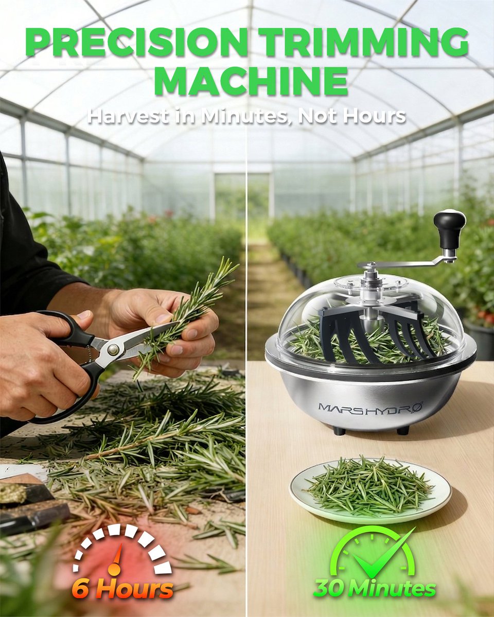 MarsHydroLight's tweet photo. Manual trimming gets messy fast and takes so much longer ๐คจ๐
The Mars Hydro Bud Trimmer helps keep things cleaner, quicker, and easier during harvest!
Which one would you choose? Itโs an easy choice for us ๐
#MarsHydro #BudTrimmer #TrimSmarter #GrowTools #Harvest https://t.co/N88hi4178z