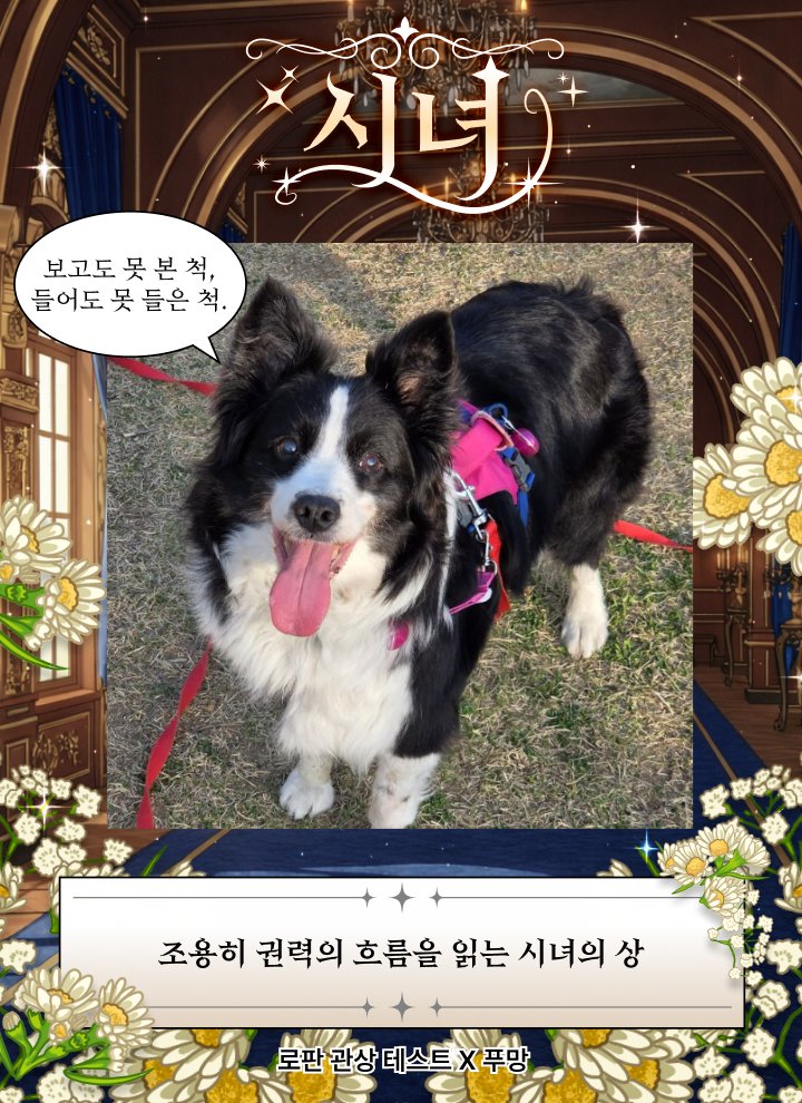 한별이똥줍기 tweet media