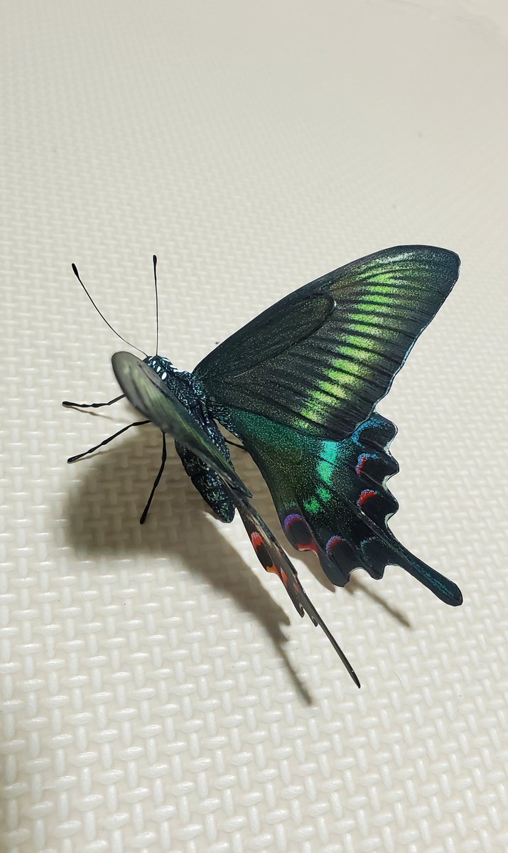 913WORKS tweet media