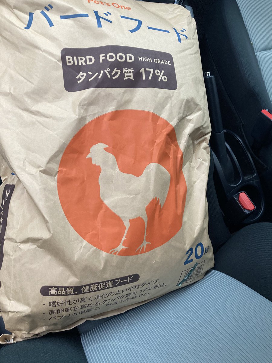 トリバルウ tweet media