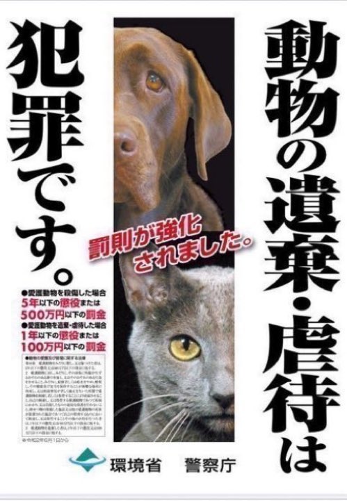 IBARAKI_Animal's tweet photo. 【動物の遺棄・虐待は犯罪です‼️】
動物の愛護及び管理に関する法律により《1年以下の懲役又は100万円以下の罰金》に処される可能性があります。
動物の遺棄・虐待は絶対にやめましょう❗️
捨てられた犬や猫を見つけたら、管轄の警察署までご連絡ください。📞☎️ https://t.co/e4VOIf1Kak https://t.co/lp2O0eGqJg
