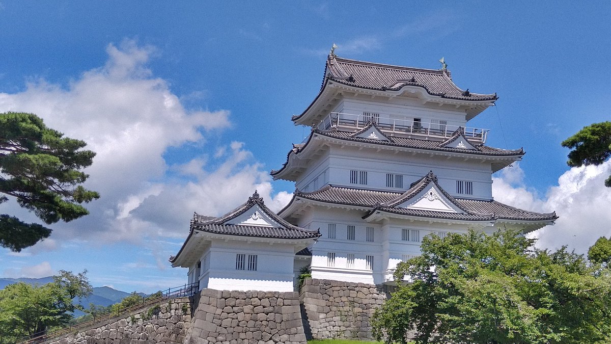 加藤虎景 tweet media