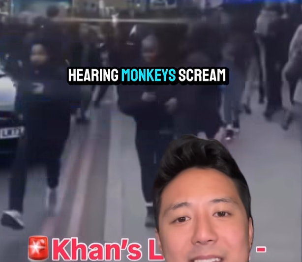 Ian Hamilton tweet media