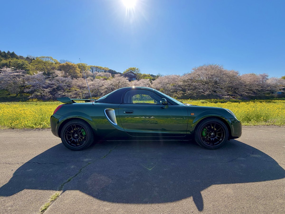 の。🍩 tweet media