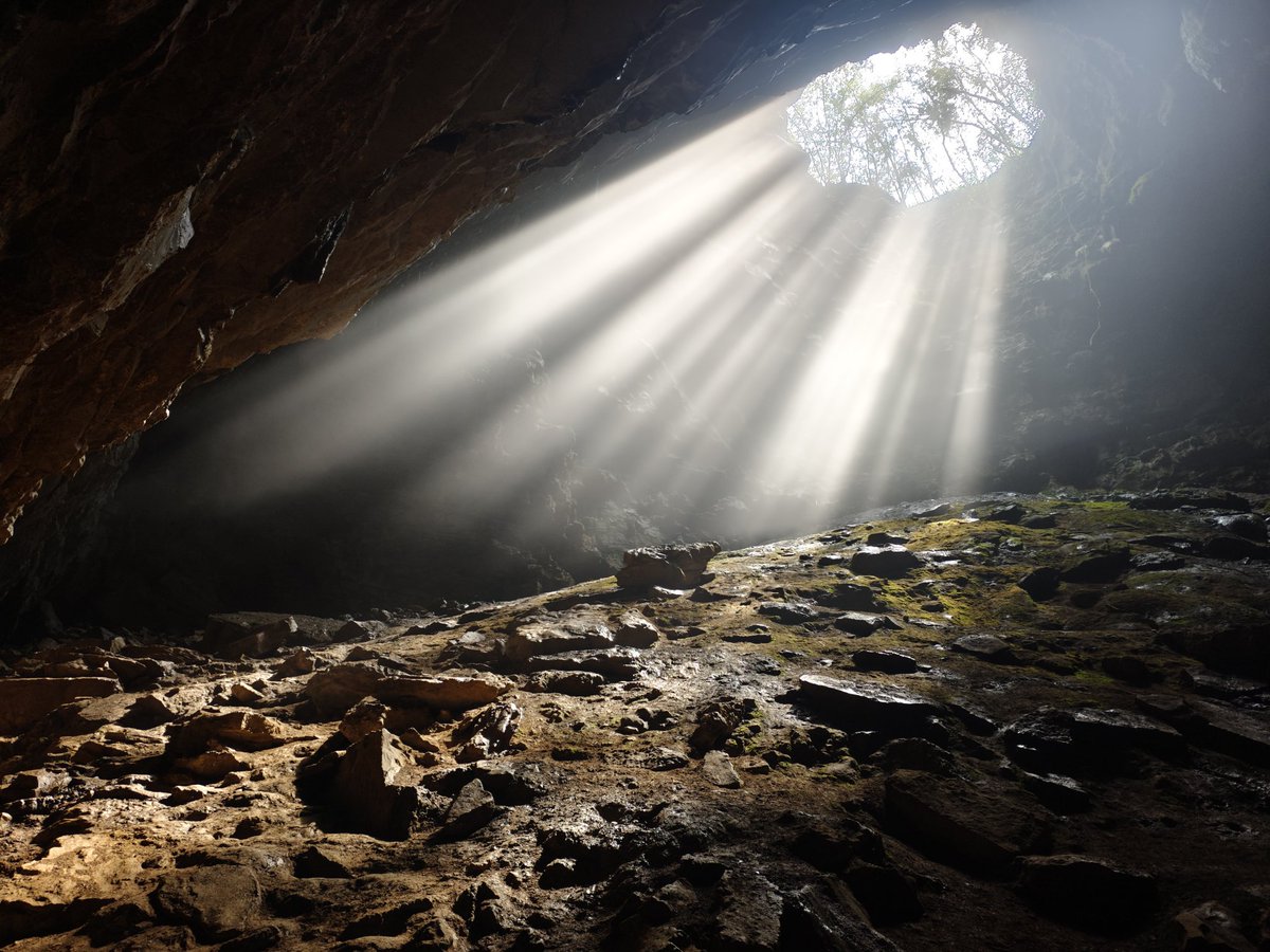 不见夏鱼 tweet media