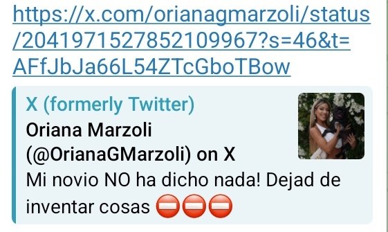 Fiorella D'Alessandro tweet media