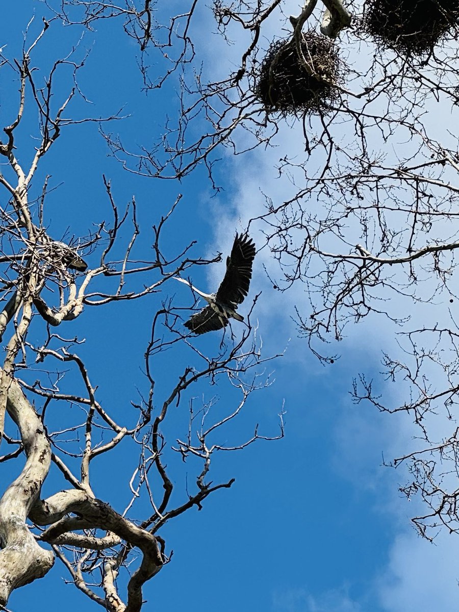 Ahu Öztürk tweet media